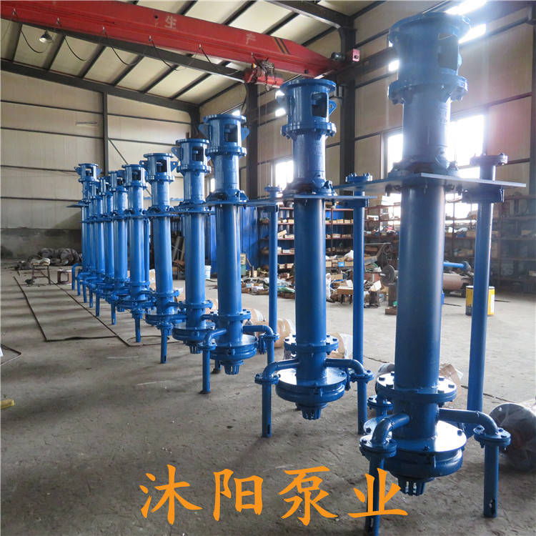 100PWDX多吸头立式排污泵.多吸头立式清淤泵
